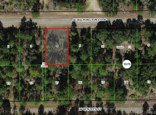 2338 W Wilmington Loop, Citrus Springs, FL 34434
