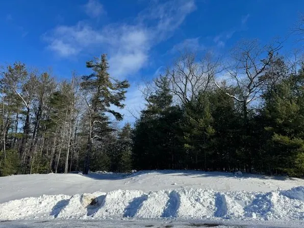 865 Wintree Dr, Indian River, MI 49749