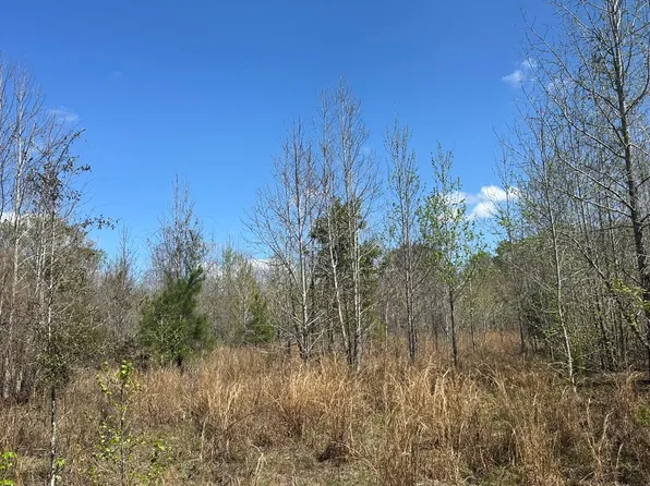 Highway 27, Fort White, FL 32038