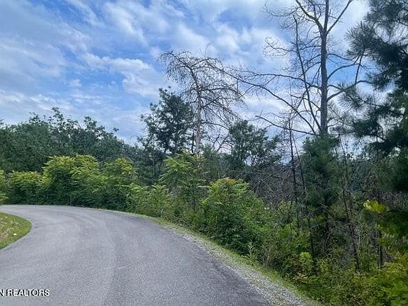 2nd image of LOT River Birch Way #4