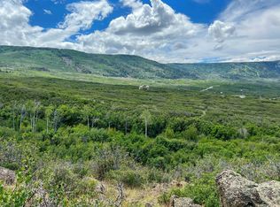50106 Bear Run Ct, Mesa, CO 81643