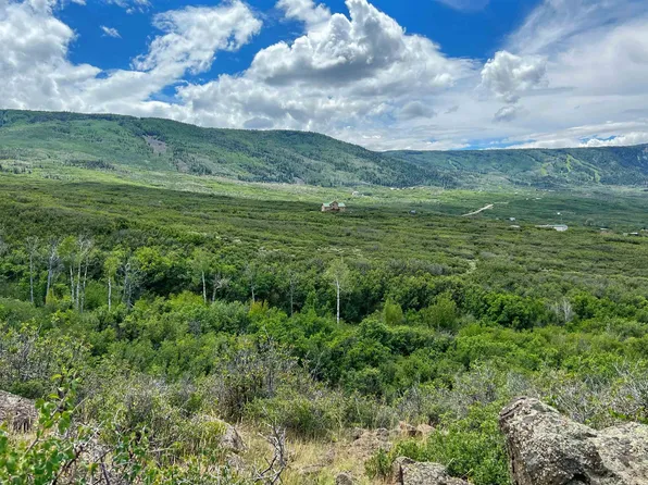 50106 Bear Run Ct, Mesa, CO 81643