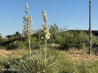 5th image of 905 Oasis Dr
