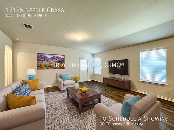 3rd image of 13125 Needle Grass