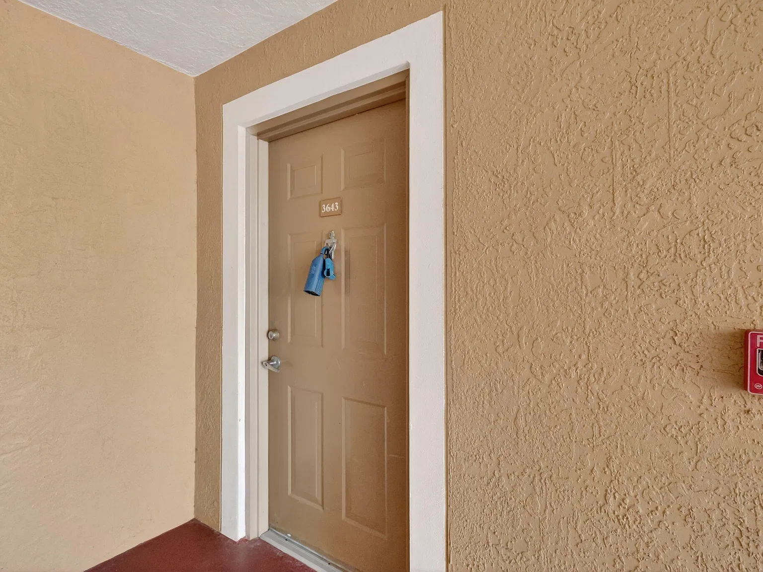 1 bed, 1.0 bath, 781 sqft, $1,600 — Photo 3