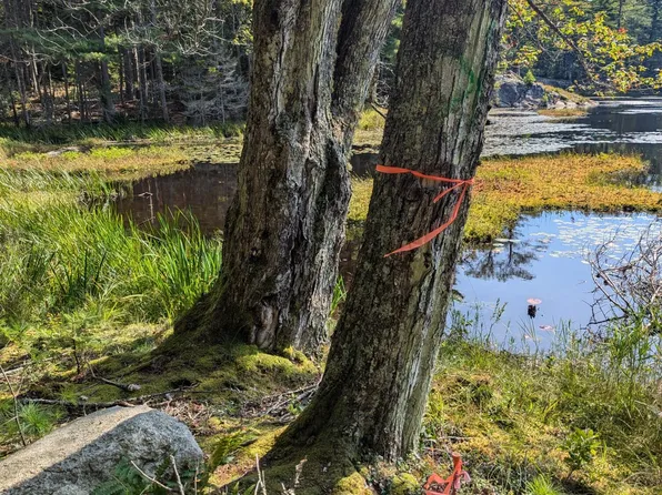 0 Route #144 (Main Road), Westport Island, ME 04578