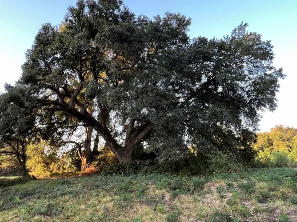 Lots 1b3 & 1b4 Commerce, Saint Francisville, LA 70775