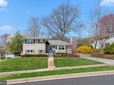 704 Shelley Rd, Baltimore, MD, 21286