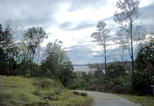 1st image of 8475 Hackberry Pl