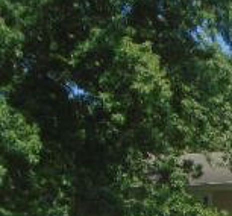 Property Side View