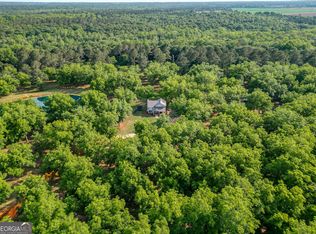 1609 Ivy Mill Rd, Parrott, GA 39877