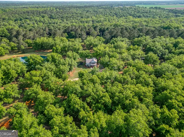 1609 Ivy Mill Rd, Parrott, GA 39877