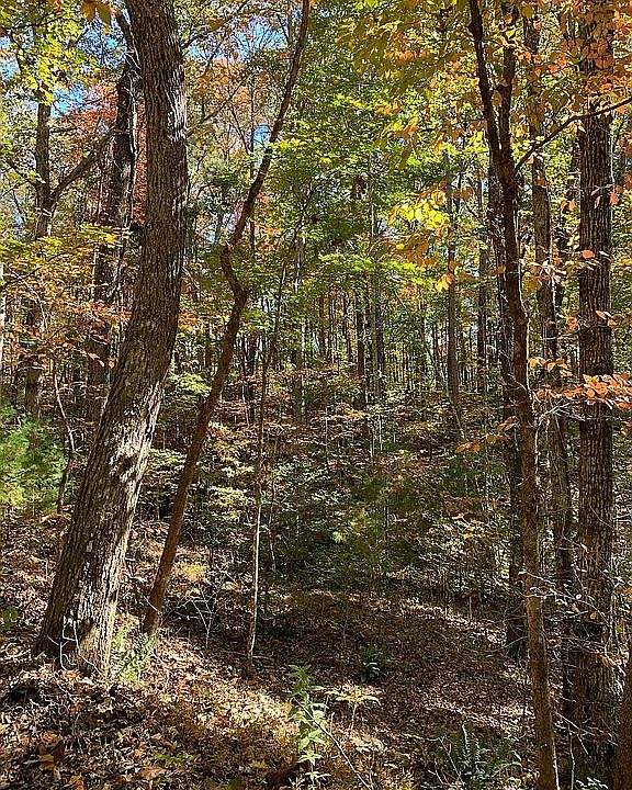 Wright Mtn Rd 