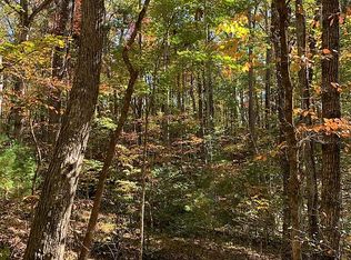 125 Wright Mountain Rd, Blue Ridge, GA 30513