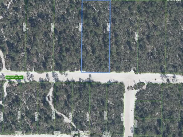 2132 Macintosh Ave Lot 30, Sebring, FL 33875