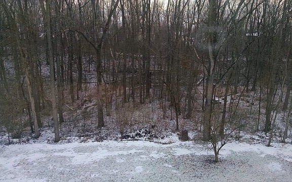 2nd image of 307 Pinecrest Dr
