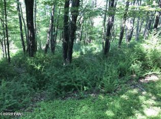 111 Koch Rd, Tafton, PA 18464