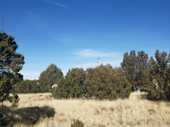 8442 Cochise Cir, Show Low, AZ 85901