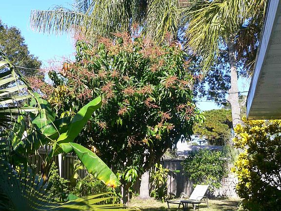 3rd image of 1339 Royal Palm Dr S