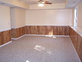 Family room in basement