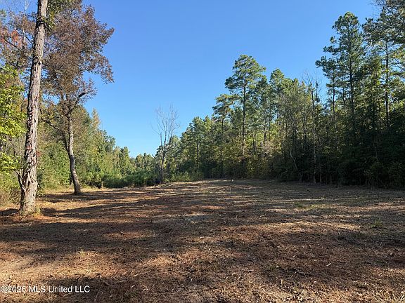 2nd image of Bluff Springs Rd