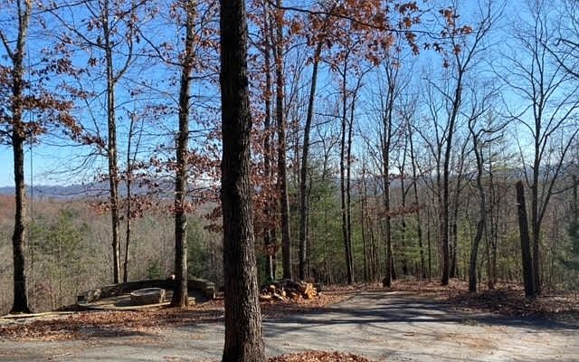 1st image of 0 Lucky Leaf Ln
