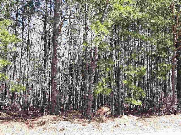 4th image of 55 Ramble Falls Ln