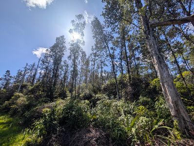 Aulii St Lot 14, Kurtistown, HI, 96760