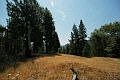 2nd image of 8603 Bull Creek Rd