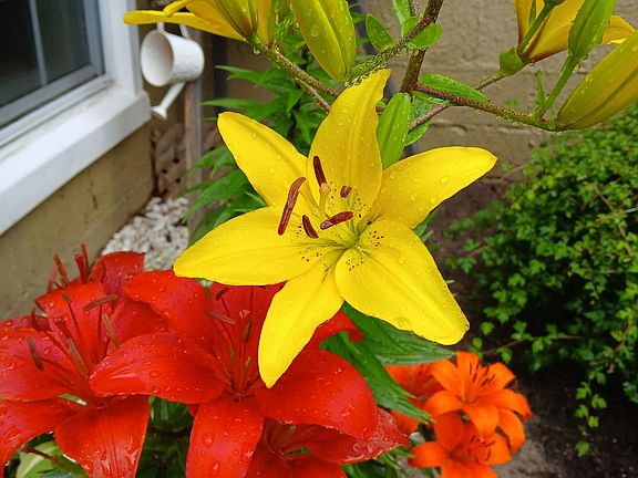 4th image of 40 Zion Rd