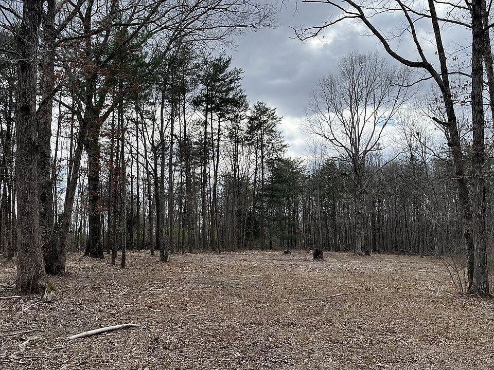 2nd image of 256 Taylor Rd S