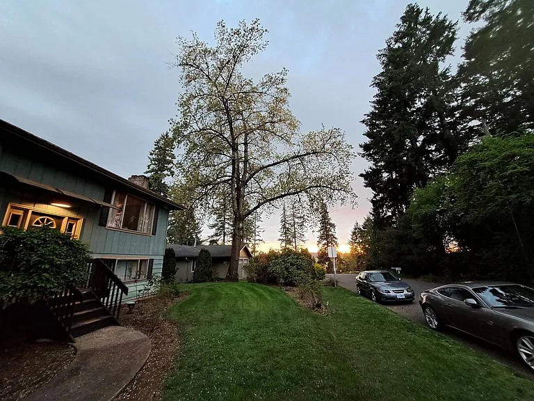 front yard facing West to Trader Joe's