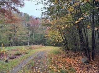 Little Ireland Road, Livingston Manor, NY 12758