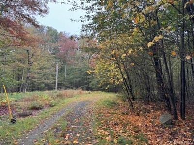 Little Ireland Road, Livingston Manor, NY, 12758