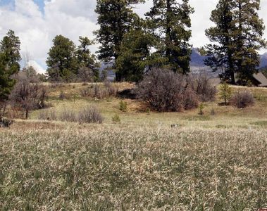 667/697 Clint Circle, Pagosa Springs, CO, 81147