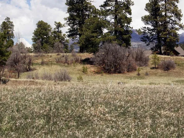 667/697 Clint Circle, Pagosa Springs, CO 81147