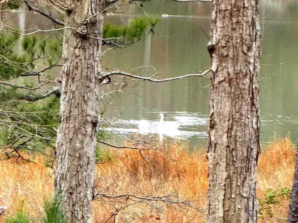 3 Seagrass Court, King George, VA 22485