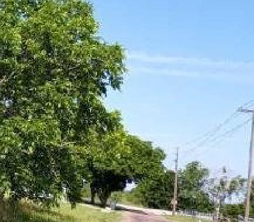 Exterior Neighborhood (street photo)