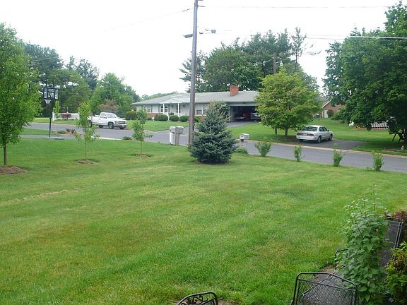 back yard