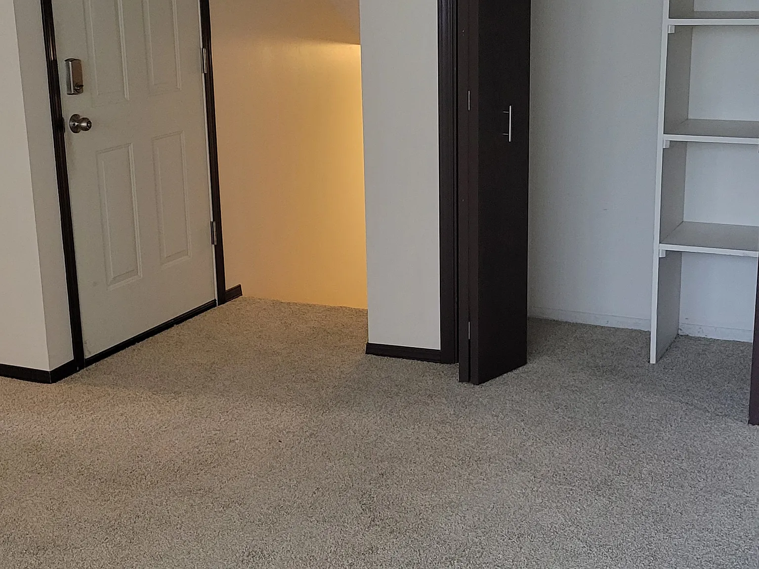 2 bed, 970 sqft, $1,600 — Photo 1