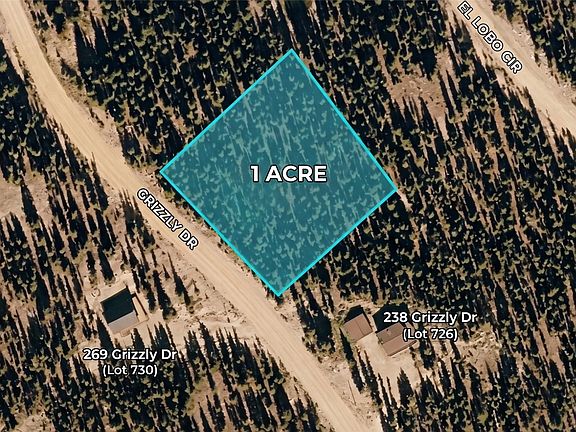 4th image of 272 Grizzly Drive