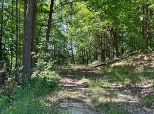 313 W Spruce St E, Big Rapids, MI 49307