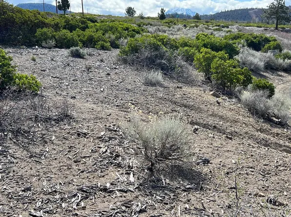 7-2 Black Bear Rd Lot 84, Weed, CA 96094