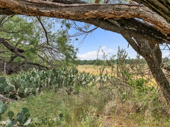 14175 Highway 6, Moran, TX 76464