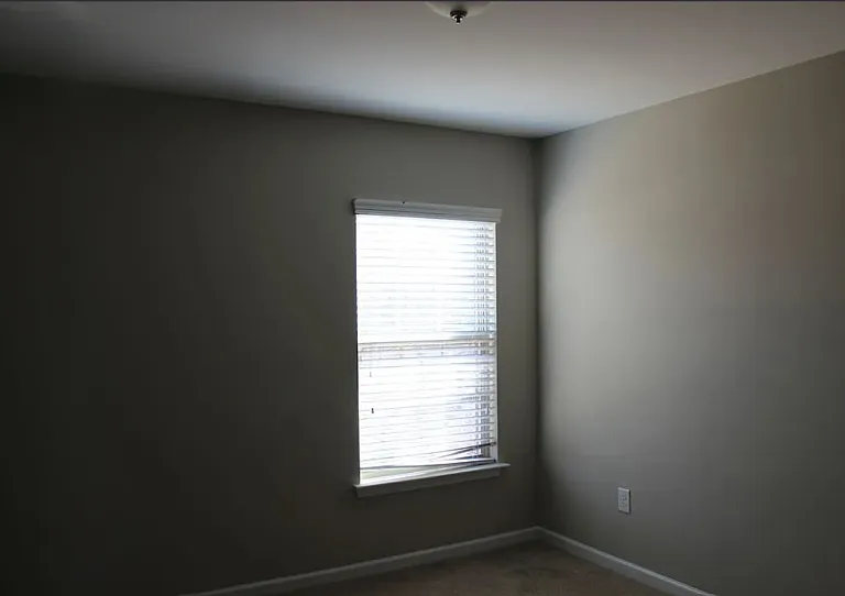 629 Sweet Laurel Ln — Photo 8