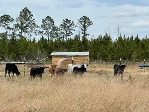 88 Rogers Break Rd, Jesup, GA 31546