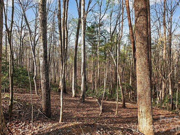 4th image of LOT 62 Dirksen Ave
