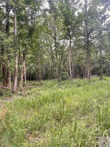 48B Big Rock Cir, Texarkana, AR, 71854