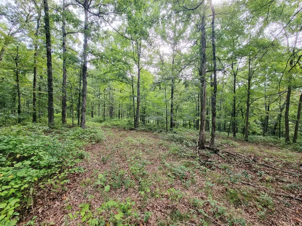 0 Ridgewood Dr Lot 19, Mc Ewen, TN 37101