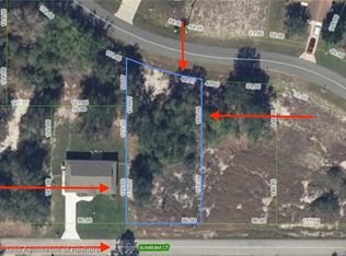 236 Sunbeam Ct, Lake Placid, FL 33852